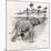 How the Elephant Crosses a River-W.H. Drake-Mounted Art Print
