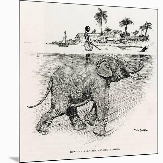 How the Elephant Crosses a River-W.H. Drake-Mounted Art Print