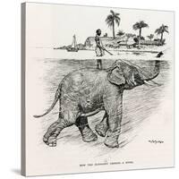 How the Elephant Crosses a River-W.H. Drake-Stretched Canvas