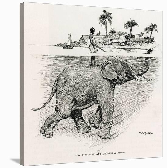 How the Elephant Crosses a River-W.H. Drake-Stretched Canvas