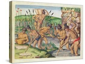 How the Indians Collect Gold from the Streams, from 'Brevis Narratio..'-Jacques Le Moyne-Stretched Canvas