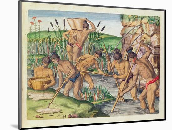 How the Indians Collect Gold from the Streams, from 'Brevis Narratio..'-Jacques Le Moyne-Mounted Giclee Print