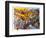 How the West Was Won-Bill Bell-Framed Premium Giclee Print