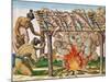 How to Grill Animals, from "Brevis Narratio...", Published by Theodore de Bry, 1591-Theodor de Bry-Mounted Giclee Print