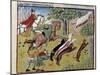 How to Hunt the Deer - 14Th Century Miniature-null-Mounted Photographic Print
