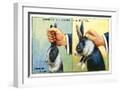 White Frame