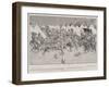 How We Nearly Lost Our Christmas Dinner on the Modder River-William Ralston-Framed Giclee Print