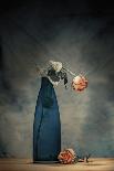 Decay - Dying Rose-Howard Ashton-Jones-Photographic Print