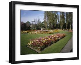 Howard Davis Park, Jersey, England-null-Framed Photographic Print