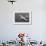 Howard Hughes' Spruce Goose-null-Framed Photographic Print displayed on a wall