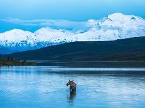 Wonder Lake in Denali National Park, Alaska.-Howard Newcomb-Photographic Print