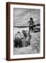 Brown Frame