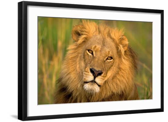 Premium Photographic Print, , large