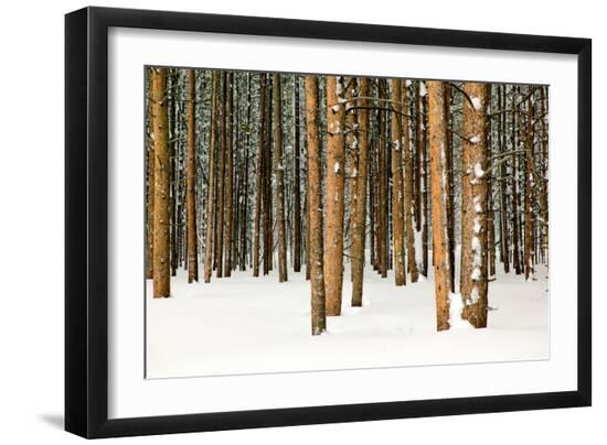 Premium Photographic Print, , large