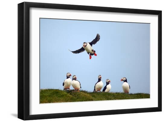 Premium Photographic Print, , large