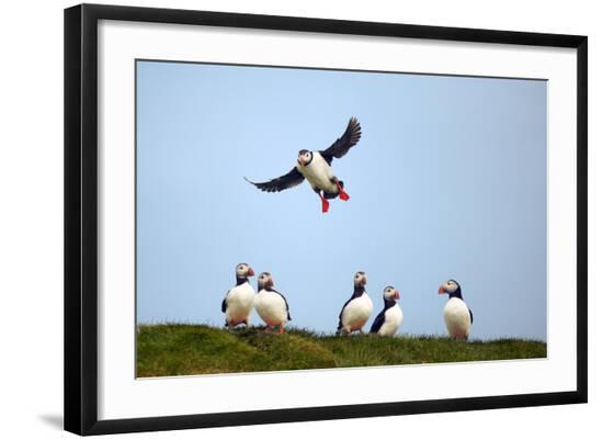 Photographic Print, , large