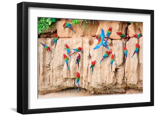 Premium Photographic Print, , large