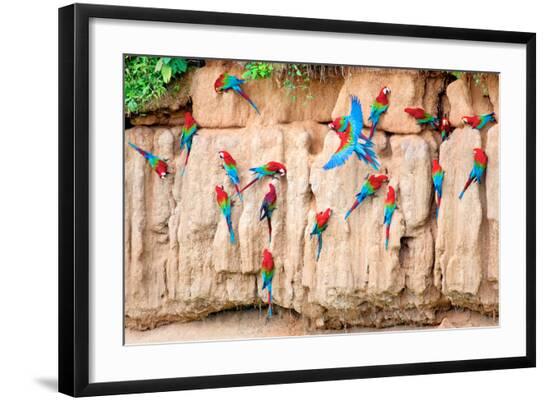Photographic Print, , large