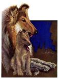 "Mother Collie and Pup,"July 15, 1933-Howard Van Dyck-Laminated Giclee Print