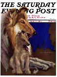 "Mother Collie and Pup,"July 15, 1933-Howard Van Dyck-Laminated Giclee Print