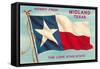 Howdy from Midland,Texas-null-Framed Stretched Canvas