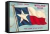 Howdy from Midland,Texas-null-Framed Stretched Canvas