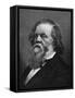 Howell Cobb-null-Framed Stretched Canvas