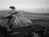 Lone Cypress Tree on Rocky Outcrop at Dusk, Carmel, California, USA-Howell Michael-Stretched Canvas