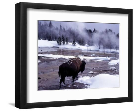 Premium Photographic Print, , large