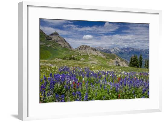 Framed Photographic Print, , large