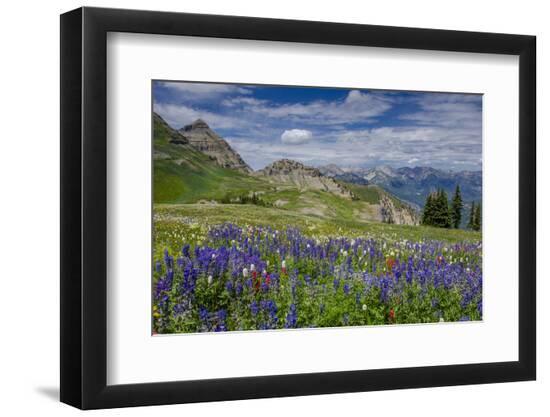 Premium Photographic Print, , large