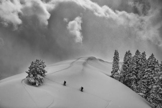 Premium Photographic Print, , large