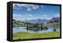 Canvas Black