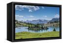 Canvas Black