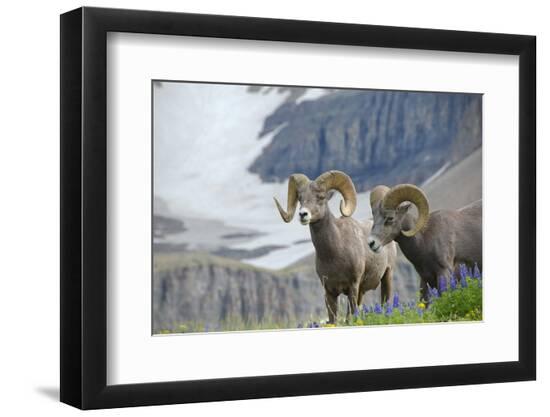 Premium Photographic Print, , large
