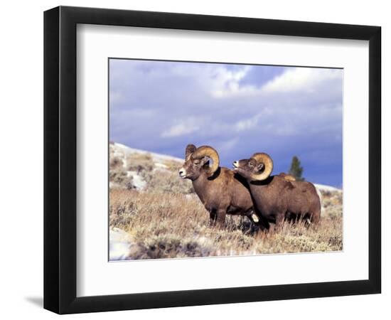 Premium Photographic Print, , large