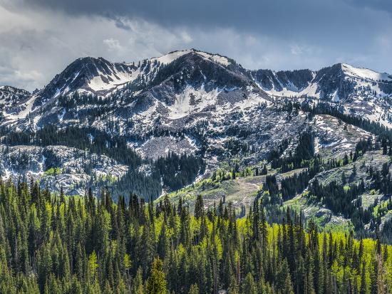 Premium Photographic Print, , large
