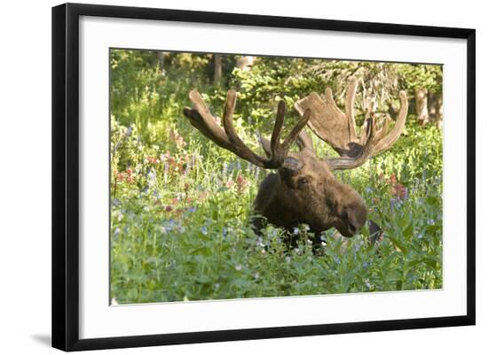 Photographic Print, , large