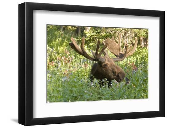 Premium Photographic Print, , large