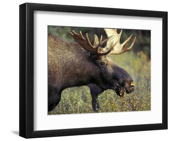 Premium Photographic Print, , large