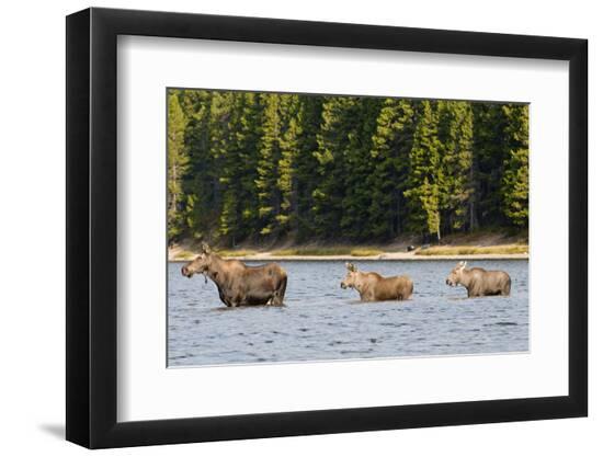 Premium Photographic Print, , large