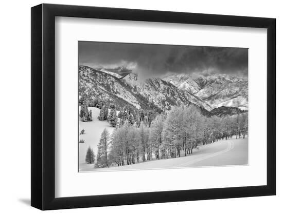 Premium Photographic Print, , large