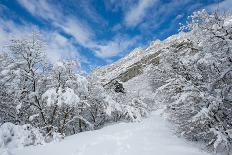 Granite Cliffs at Mouth of Little Cottonwood Canyon and Trees, Utah-Howie Garber-Photographic Print