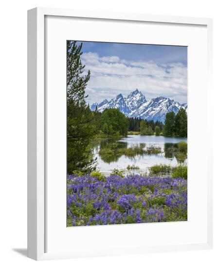 Framed Photographic Print, , large