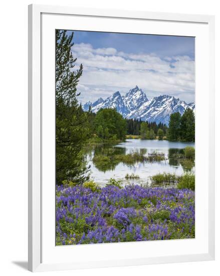Framed Photographic Print, , large