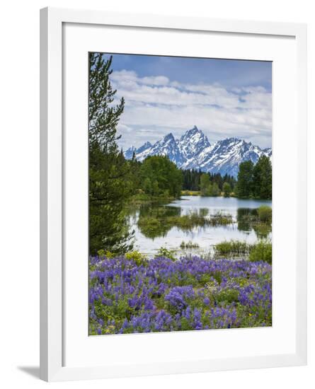 Framed Photographic Print, , large