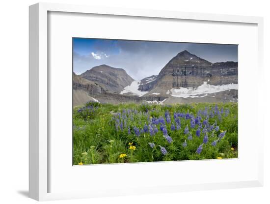 Framed Photographic Print, , large
