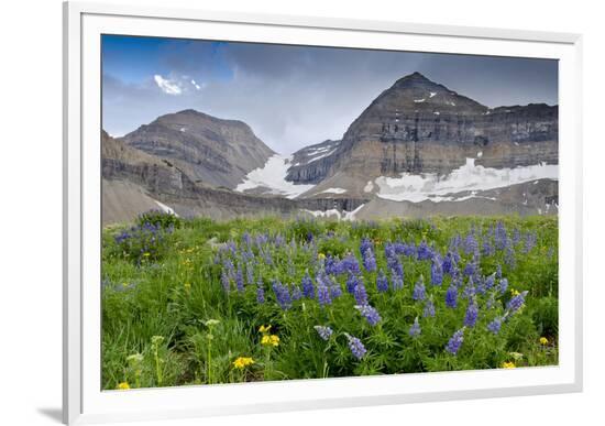 Framed Photographic Print, , large