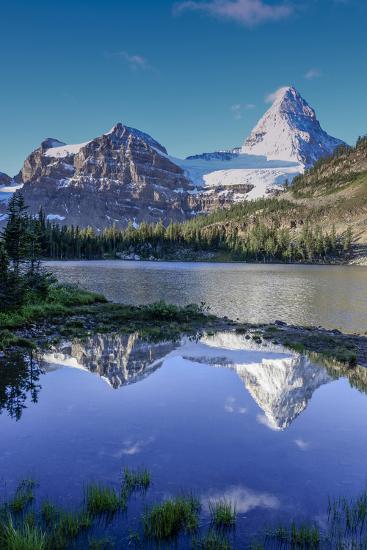 Premium Photographic Print, , large