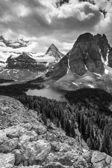 Premium Photographic Print, , large